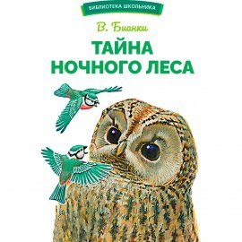 БШ. Тайна ночного леса 12155