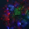 Гирлянда электрическая Сердечки для улицы 28 LED цветное свечение 1 режим прозрачный провод 4 м 220 В /Tongde/