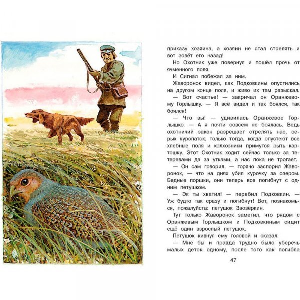 БШ. Тайна ночного леса 12155