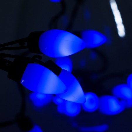 Гирлянда электрическая для улицы 20 LED синее свечение 1 режим чёрный провод 5 м 220 В /Tongde/